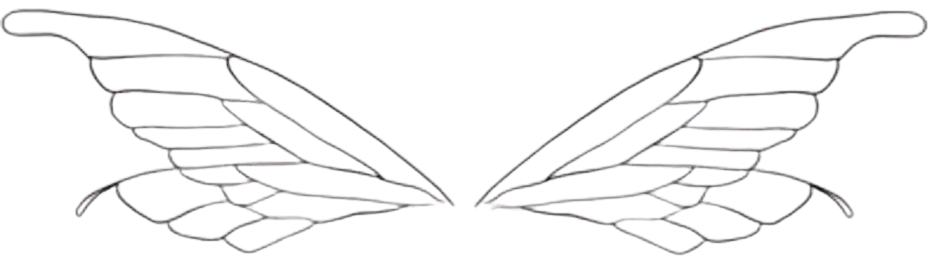 Wing
